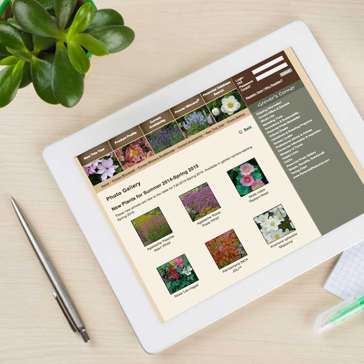 Walters Gardens Paulsen