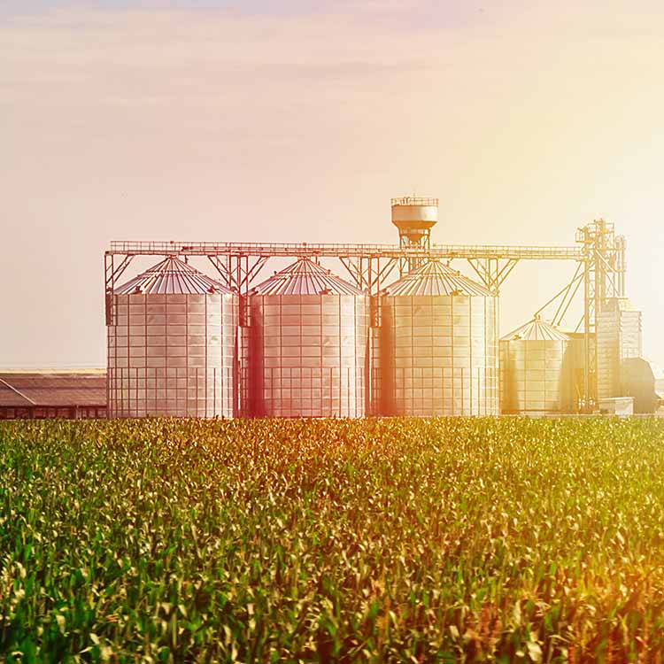 Growing South Dakota Agriculture Industry Leaders Paulsen