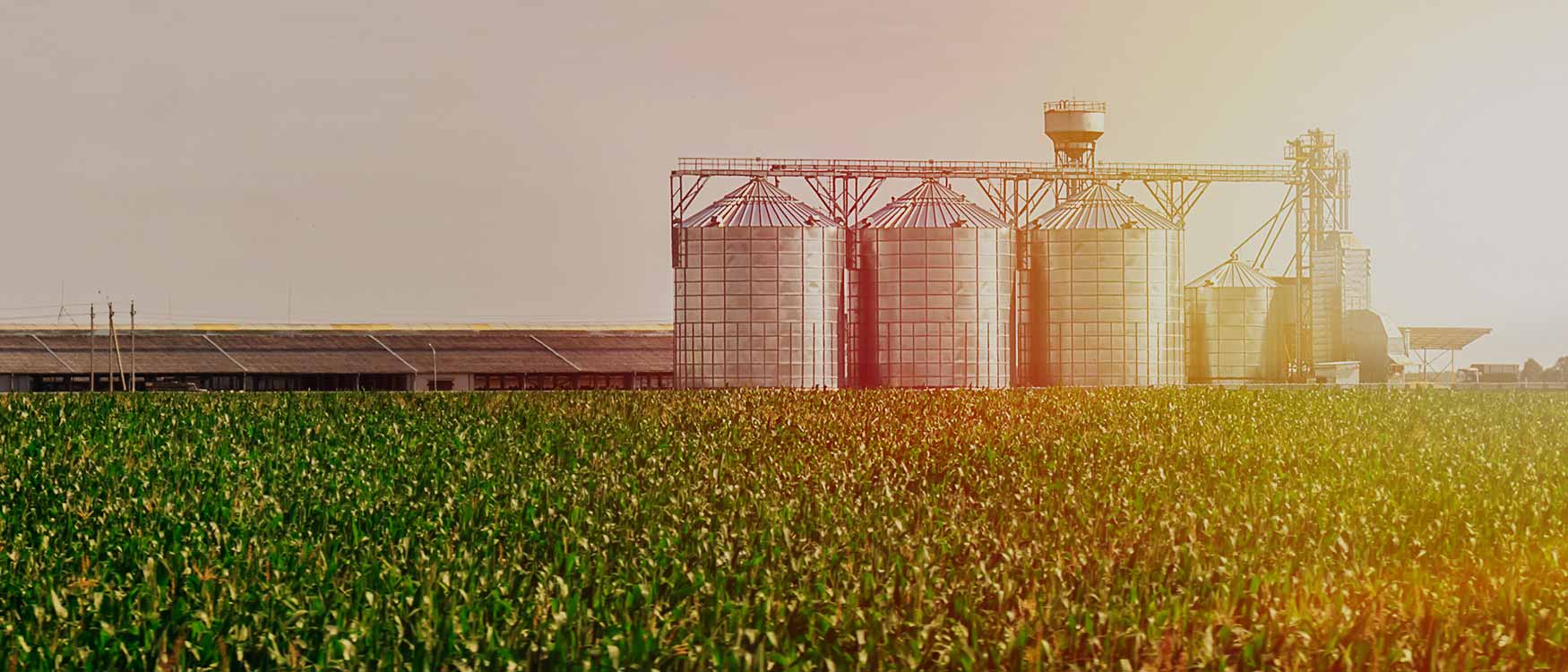 Growing South Dakota Agriculture Industry Leaders Paulsen